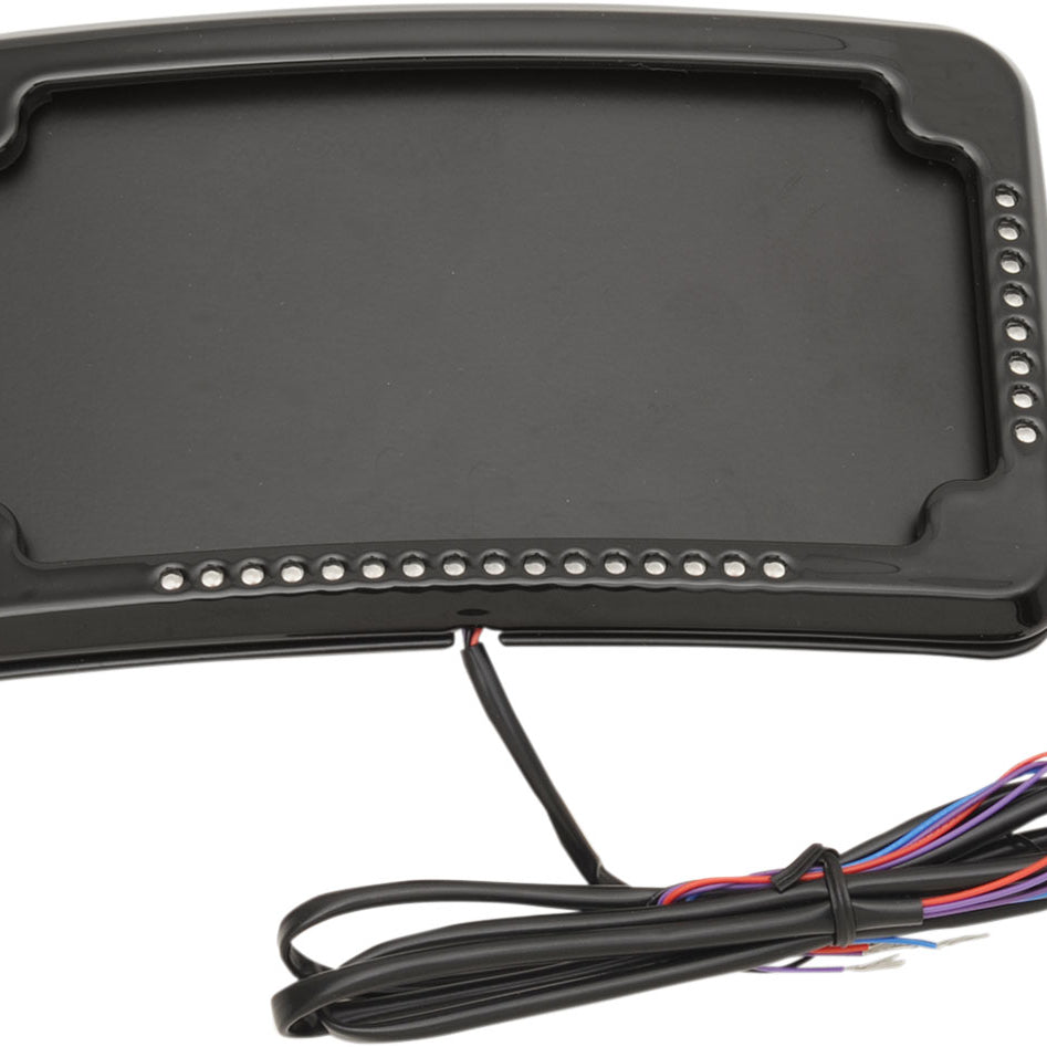 black Curved 3-Hole License Plate Mount with Lights for Harley Davidson Motorcycles